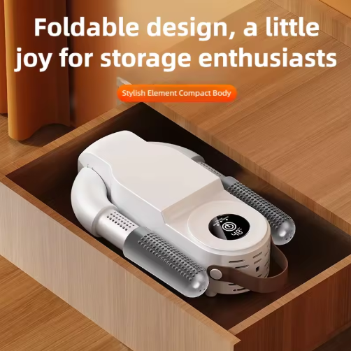 Shoe Dryer Portable